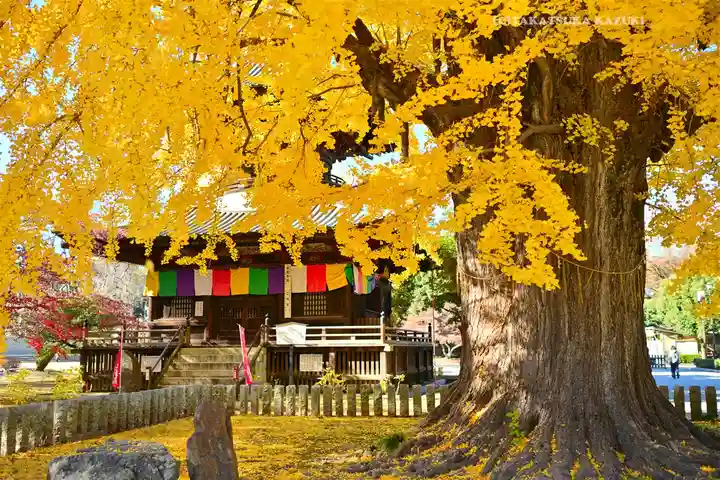 鑁阿寺(栃木県)