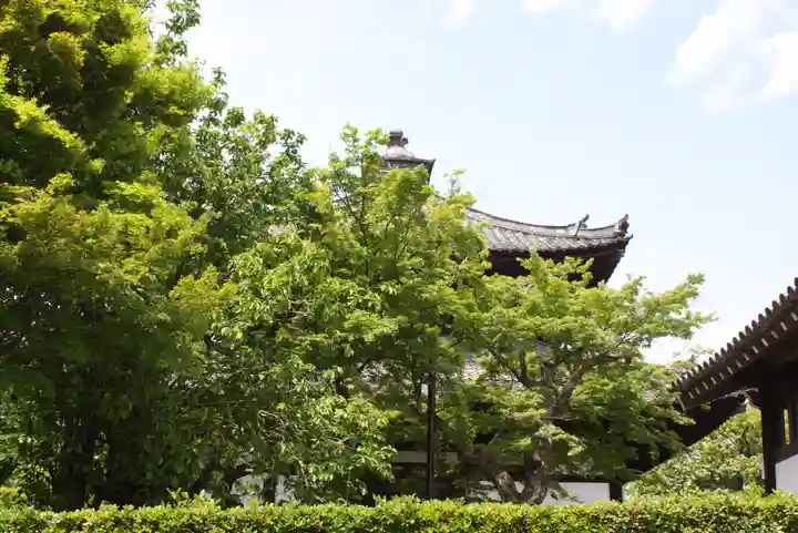東福禅寺(東福寺)(京都府)