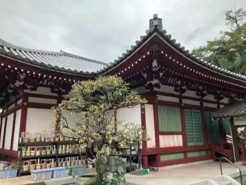 善養寺（善養密寺）(東京都)