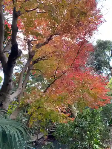 浄楽寺(神奈川県)