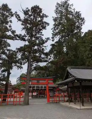 吉田神社(京都府)