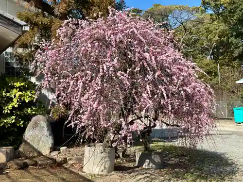 和泉國一之宮　大鳥大社(大阪府)