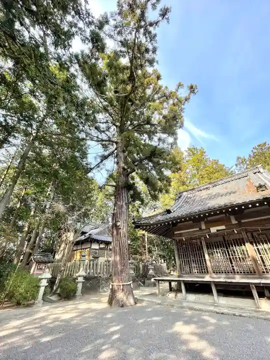 竹田神社(滋賀県)