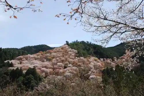 金峯山寺の自然