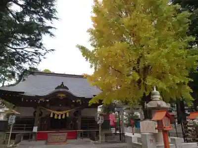 草加神社の本殿・本堂