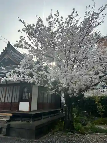 妙泉寺の景色