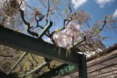 山梨岡神社の自然