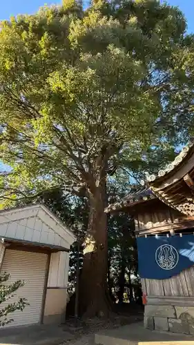 武威神社(徳島県)