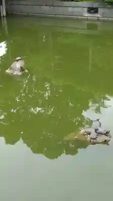亀戸天神社(東京都)