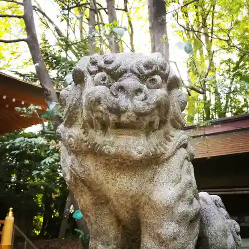 小金井神社の狛犬
