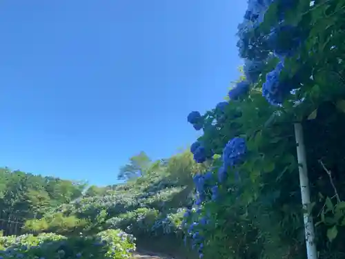 妙法生寺の自然