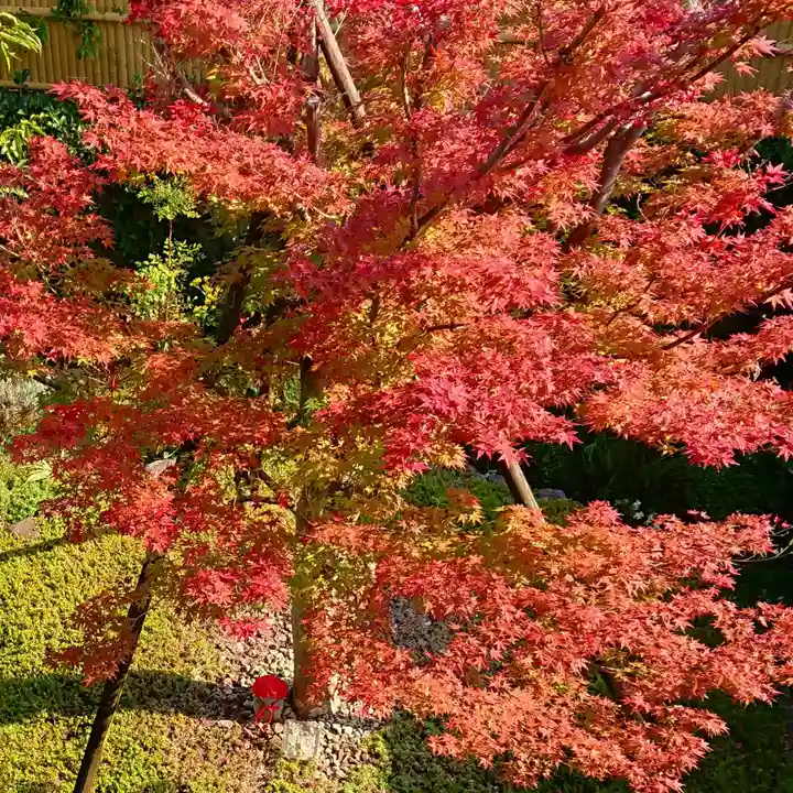 寿量山 速成寺の自然