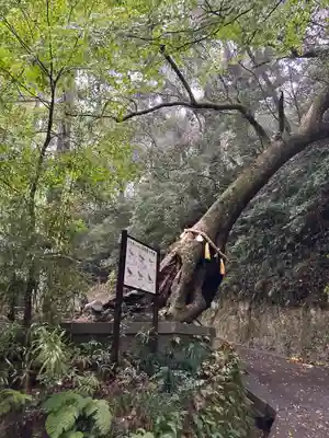 笠森寺(千葉県)