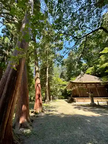 観心寺(大阪府)