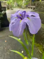 彦嶽宮(熊本県)