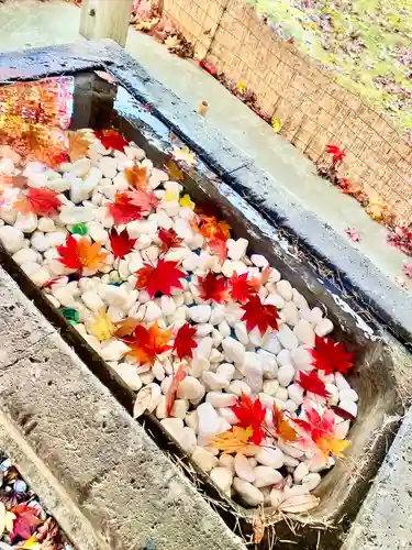 北広島市総鎮守　廣島神社の手水舎