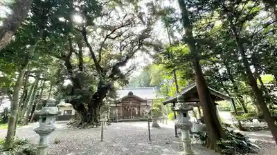 阿自賀神社(三重県)