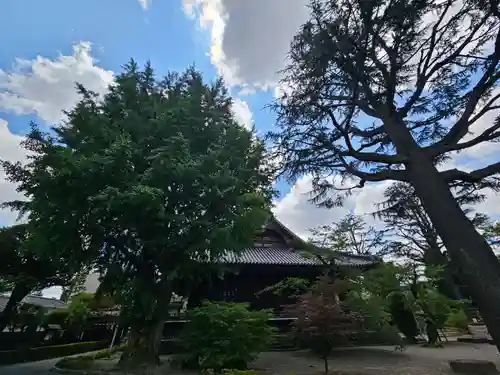 寛永寺(根本中堂)(東京都)