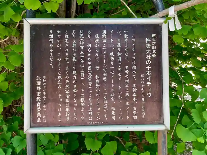 杵築大社(東京都)