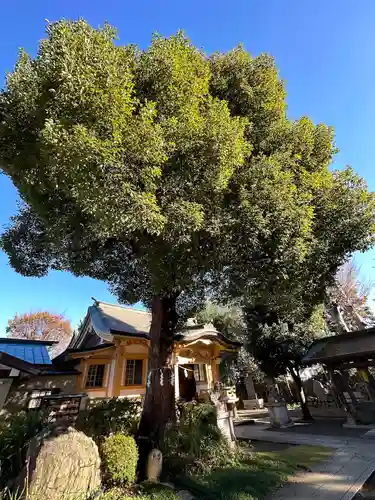 若宮神社の自然