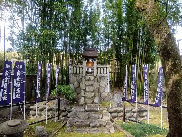 白金龍王社(愛知県)