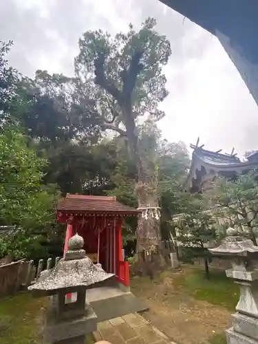 綿都美神社の自然