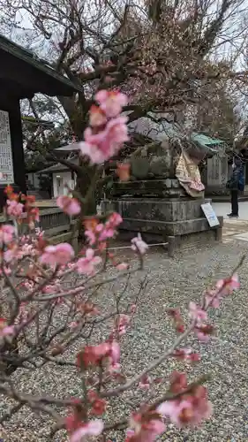 北野天満宮(京都府)