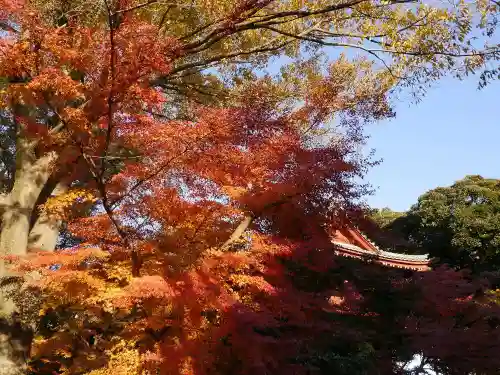 本土寺の景色