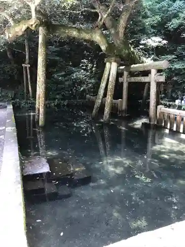 鹿島神宮(茨城県)