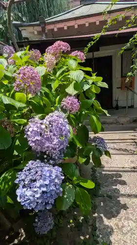和光寺(大阪府)