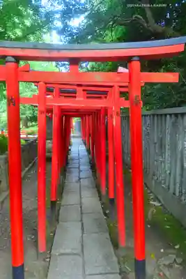 根津神社(東京都)