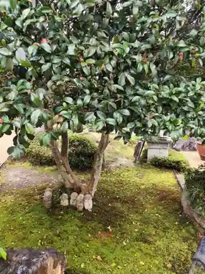 歓喜院(兵庫県)