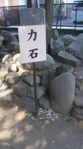 鳩ヶ谷氷川神社(埼玉県)