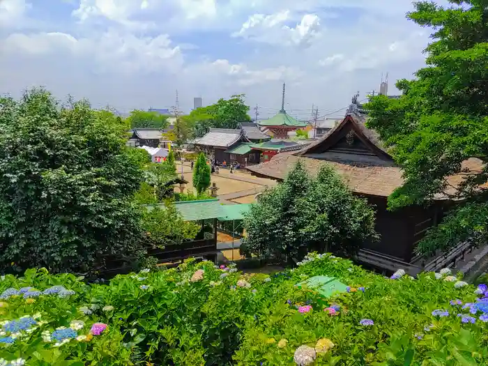 性海寺の建物その他