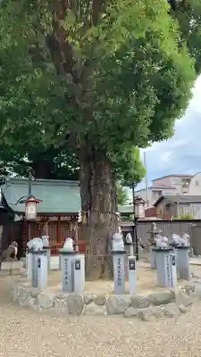 比枝神社(大阪府)