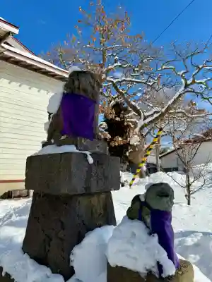 七重浜稲荷神社(北海道)