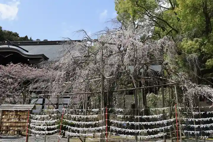 近江神宮(滋賀県)