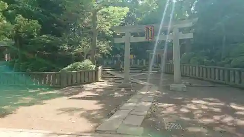 根津神社の鳥居