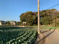 大宮神社(千葉県)