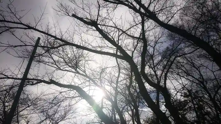 神明社(国府宮神明社)の自然