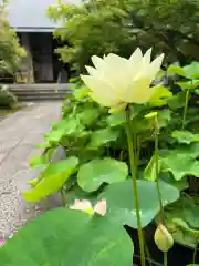 伊勢の国 四天王寺(三重県)