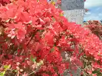 長岡天満宮(京都府)