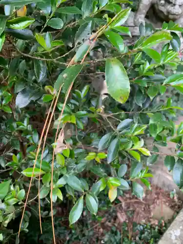 素鵞熊野神社(茨城県)