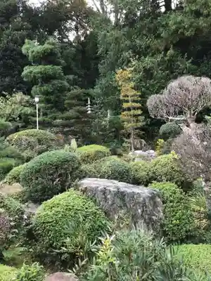 渭雲寺の庭園