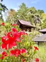 蚊里田八幡宮の{uncategorized: "未分類", other: "その他", undefined: "問題あり", building: "その他建物", grave: "お墓", sacred_gate: "鳥居", guardian: "狛犬", statue: "像", buddha: "仏像", history: "歴史", nature: "自然", garden: "庭園", animal: "動物", pagoda: "塔", temizu: "手水舎", mountain_gate: "山門・神門", sanctuary: "本殿・本堂", subordinate: "末社・摂社", art: "芸術", scenery: "景色", jizo: "地蔵", ema: "絵馬", goshuin: "御朱印", omikuji: "おみくじ", items: "授与品その他", amulet: "お守り", goshuincho: "御朱印帳", eats: "食事", festival: "お祭り", votive_dance: "神楽", shichigosan: "七五三参", wedding: "結婚式", experience: "体験その他", initially: "初詣", around: "周辺", anti_infection: "感染症対策"}