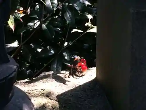 堂塔寺(福岡県)