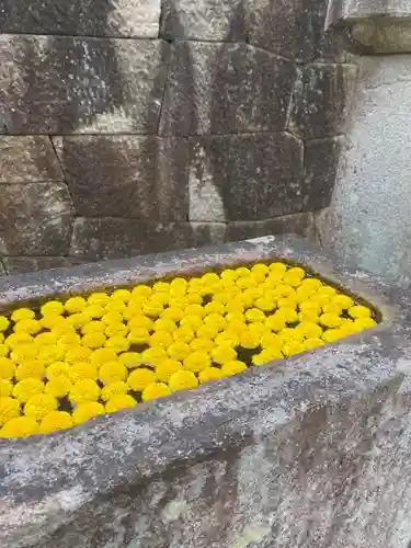 本光寺(愛知県)