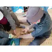 立鉾鹿島神社のお祭り