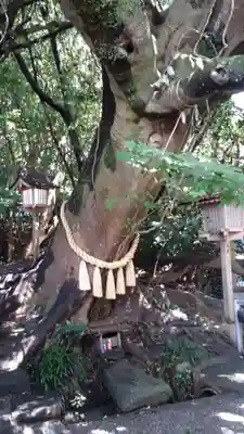 八大龍王水神(宮崎県)