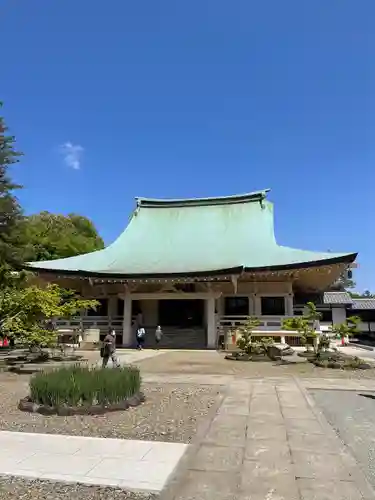 豪徳寺の本殿・本堂